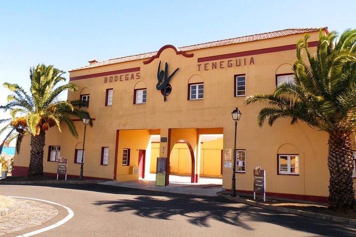 Bezoek wijnmakerij Bodegas Teneguía in La Palma met wijnproeverij