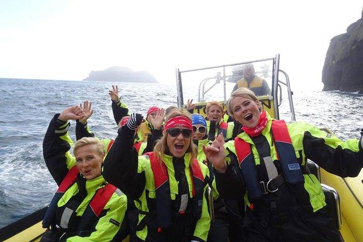 1-timers lille gruppe sightseeingtur i Vestmannaeyjar