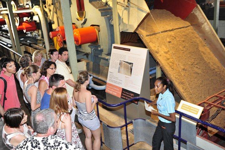Tour guidato storico privato, City-SugarWorld-Botanical Garden - Min. 2 persone