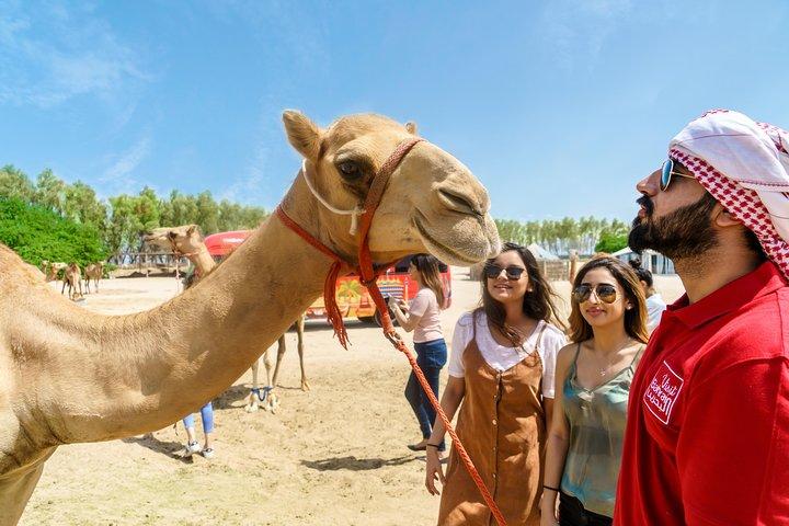 Halfdaagse Desert Tour