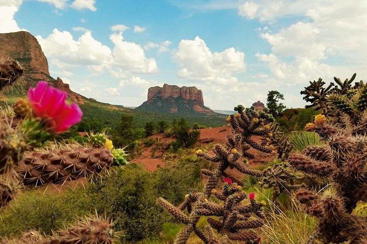 Viagem de um dia em Sedona saindo de Phoenix
