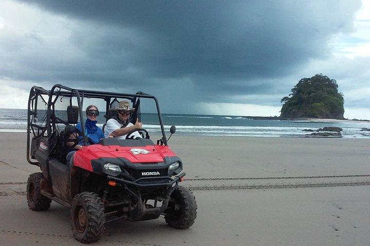 Buggy Tamarindo para Pirates Bay