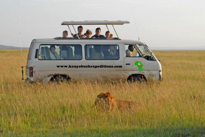 Maasai mara, Nakuru, Amboseli e Tsavo west Parques nacionais Safaris