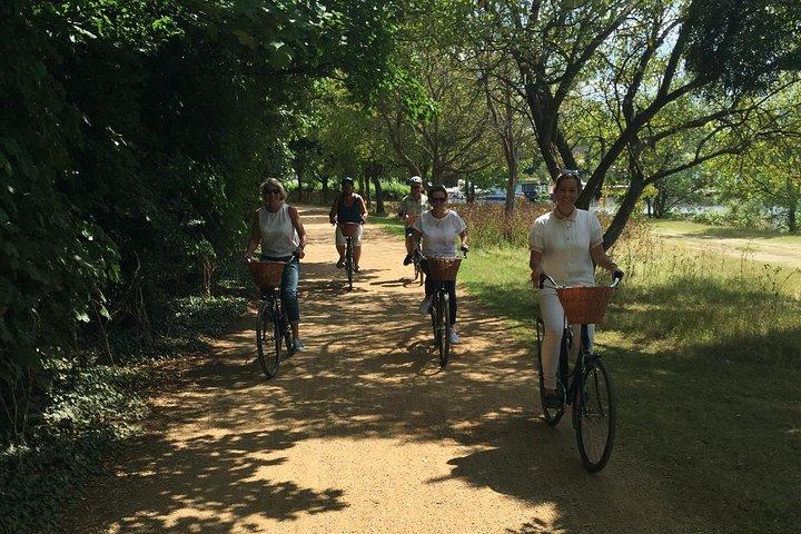 Excursion à vélo sur le terrain de Hampton Court Palace