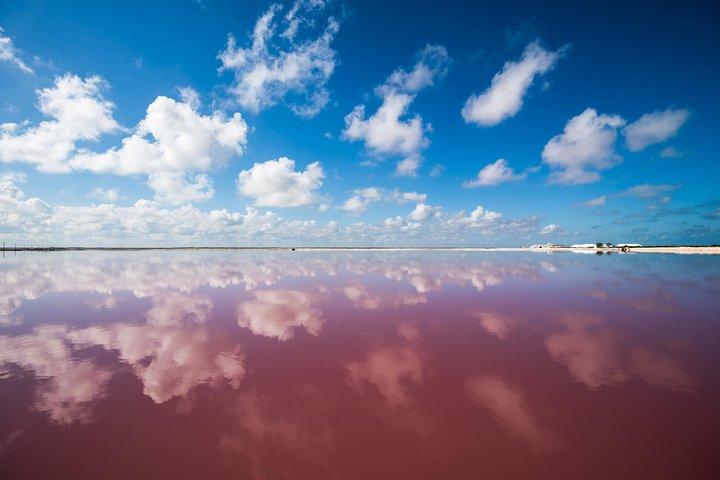Rundtur i Cancún Las Coloradas Rosa lagunen + Rio Lagartos