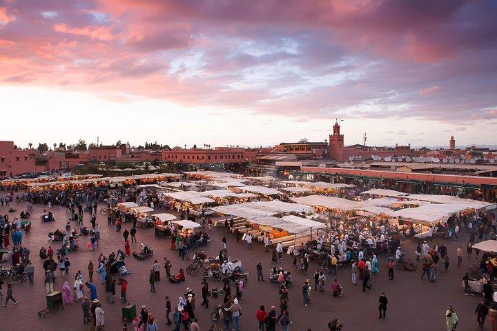 Marrakech City Highlights Half-Day Tour