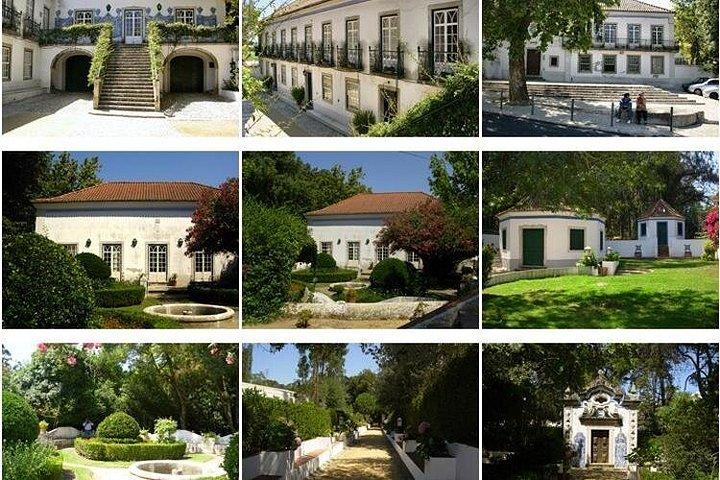 Privat tur från Lissabon till historiska hus w / Lunch & vintur och provsmakning