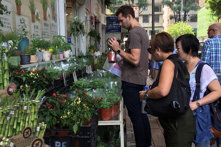 Kleingruppentour: Hong Kong Local Markets Hopper [AKTION]