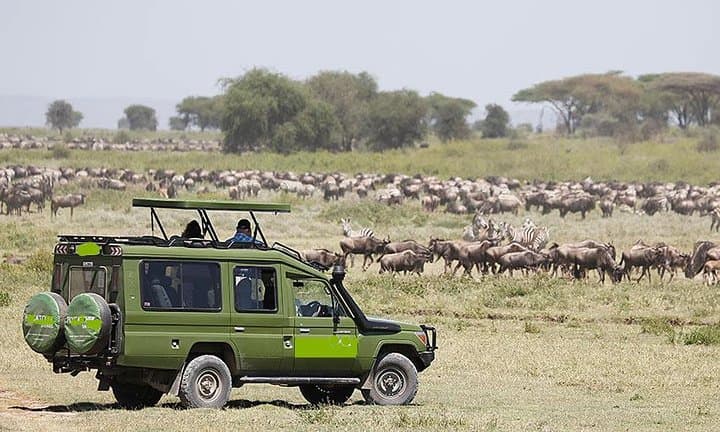 12-Days Best of Kenya and Tanzania Wildlife Private Safari