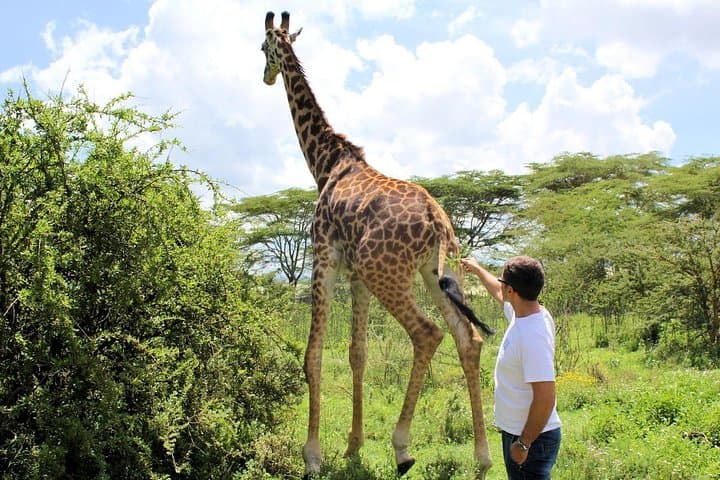Hell's Gate & Lake Naivasha Small Group Day Tour - Guaranteed Daily Departure
