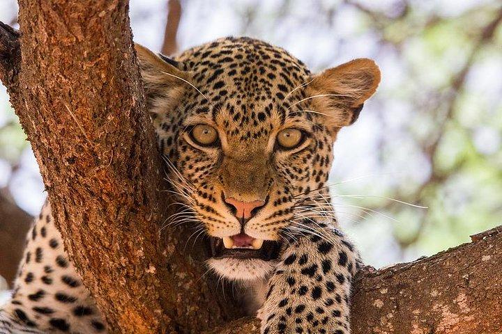3 jours Masai Mara