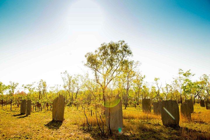 Viagem de um dia às cachoeiras do Parque Nacional de Litchfield saindo de Darwin, incluindo montes de cupins e almoço