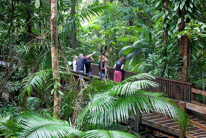 Daintree Rainforest e Mossman Gorge: Tour de dia inteiro