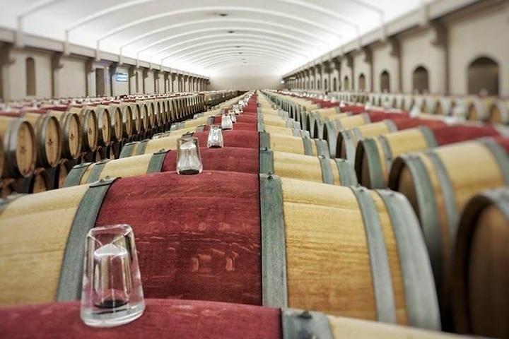 Medoc Region Private Sightseeing & Wein Tagesausflug mit Verkostung von Bordeaux
