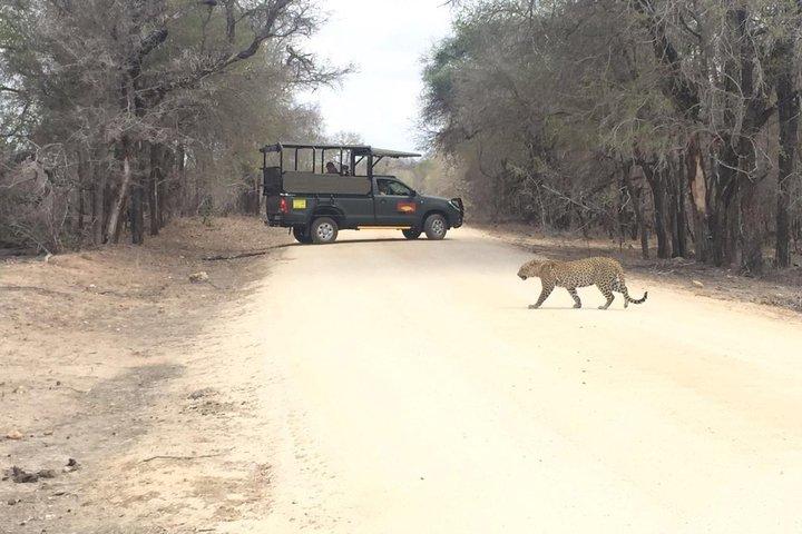 Parque Nacional de Kruger Private Guided Afternoon Game Drive