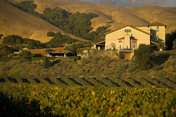 Muir Woods & Napa / Sonoma - 6 - 8hr-Privat Scenic Wine Tour från SF