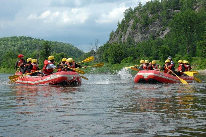 Rafting Familiar com crianças | Rouge River (a partir de 6 anos)