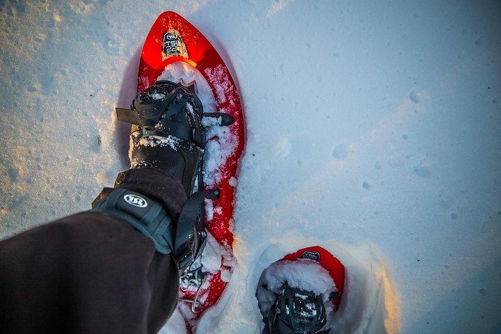 Wilderness snesko eventyr