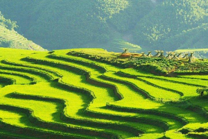 Sapa Trekking Group Tour mit dem Bus von Hanoi mit 2 Nächte Hotelaufenthalt