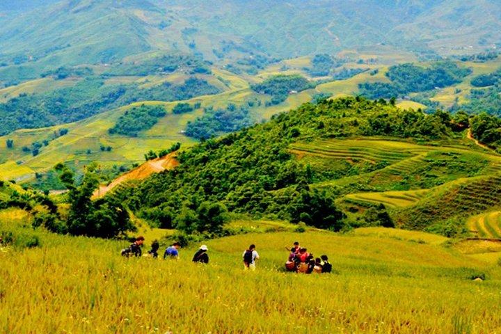 1 daagse privétour Sapa trekking Y Linh Ho - Lao Chai - Ta Van (vertrek vanuit Sapa)