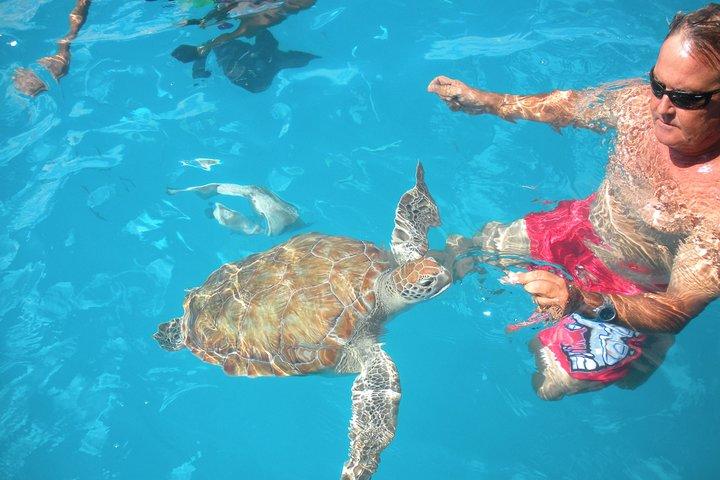 Snorkel en tortuga catamarán de Barbados con almuerzo y barra libre