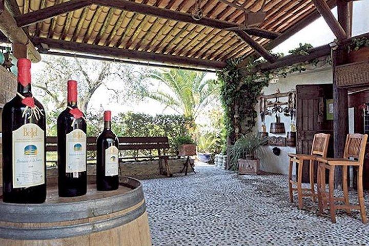 la degustazione del vino Bellet