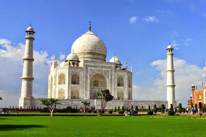 Excursión privada de un día al Taj Mahal y al Fuerte de Agra con almuerzo desde Delhi