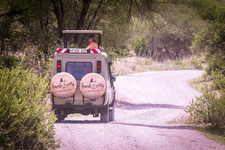 12 Days Best Of Kenya and Tanzania Safari - Luxury