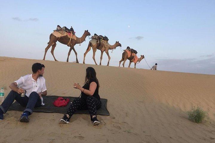 Halbtägige Kamelsafari bei Sonnenuntergang mit Abendessen (nicht touristisch)