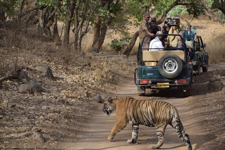 Ranthambhore Tiger Tour di Delhi, Agra e Jaipur Hotel 5 stelle