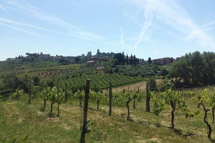 San Gimignano, Safran et Vernaccia Vin de Florence