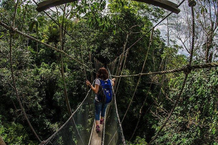 Día completo de Kinabalu Park y Poring Hot Spring Day Trip