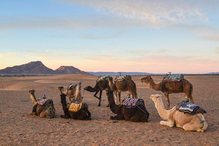02 días Marrakech - Ouarzazate - Zagora