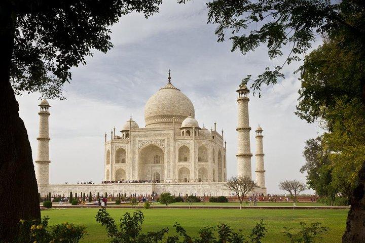 D'Agra: visite privée du Taj Mahal Sunrise avec déjeuner et frais d'entrée