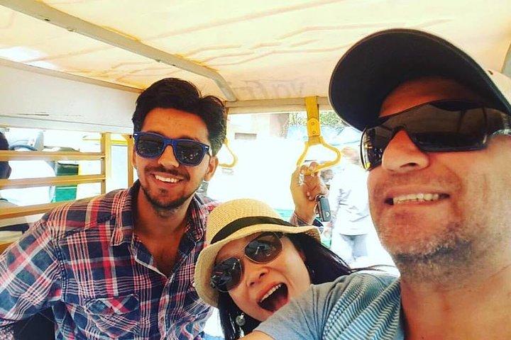 Golden Triangle Tour con un autista privato