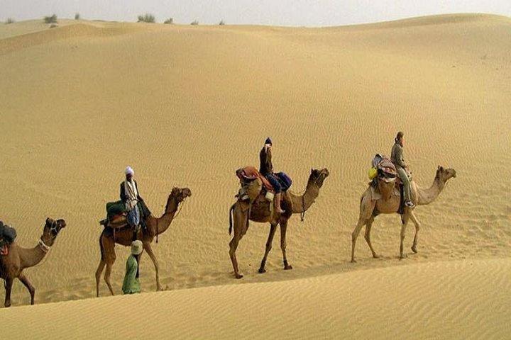 Camelsafari in Osian mit exklusivem Abendessen von Jodhpur