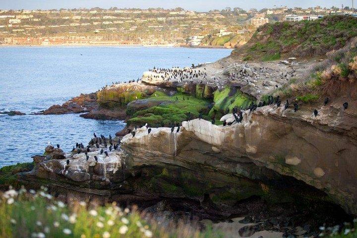 Il tour definitivo di San Diego