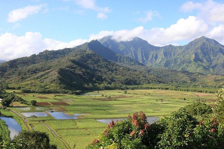 Kauai: Filmturné i Hawaii
