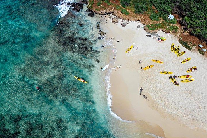 Island Hop! Kayak y snorkel guiados por Mokulua, Kailua Oahu