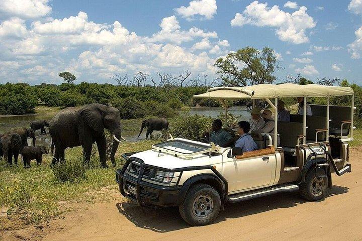 Pase Safari (Zimbabwe)
