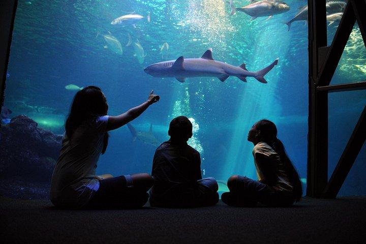 Maui Ocean Center Heldagsbillet