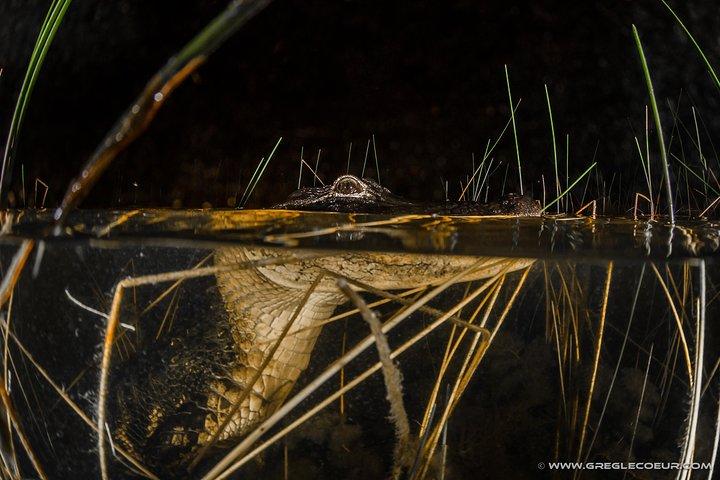 Florida Everglades Night Airboat Tour perto de Fort Lauderdale