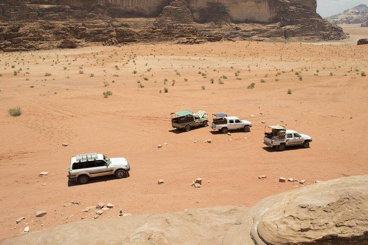エルサレムからの砂漠のサファリと死海の日帰り旅行
