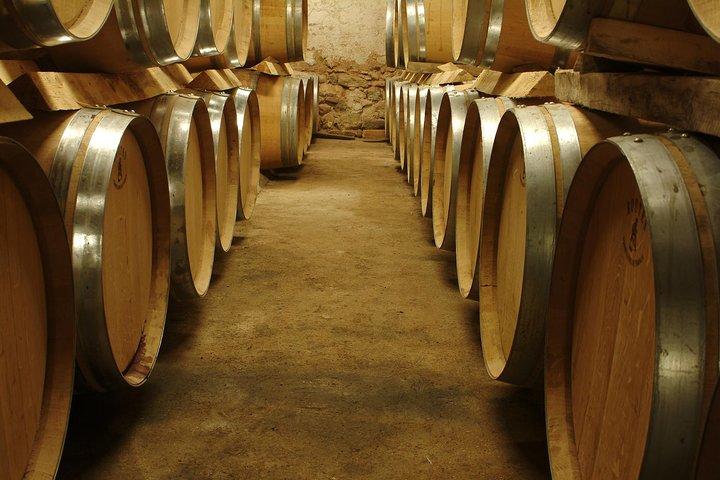 Marseille Shore Excursion - Full Day Wine Tour in de Provence