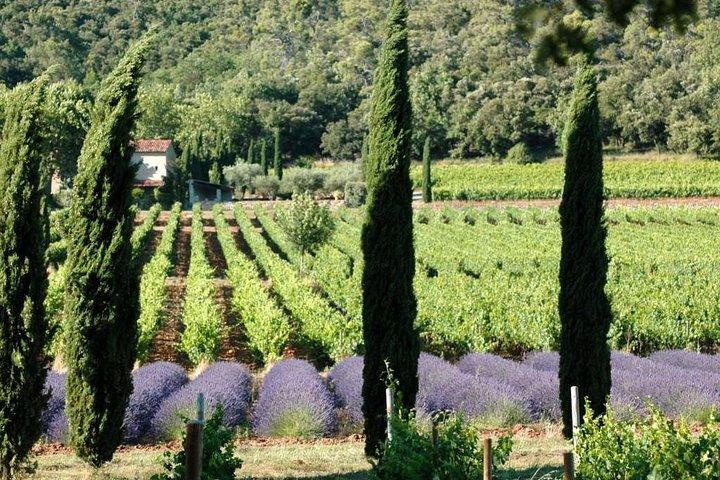 Halbtägige Weintour in Côteaux Aix von Aix en Provence