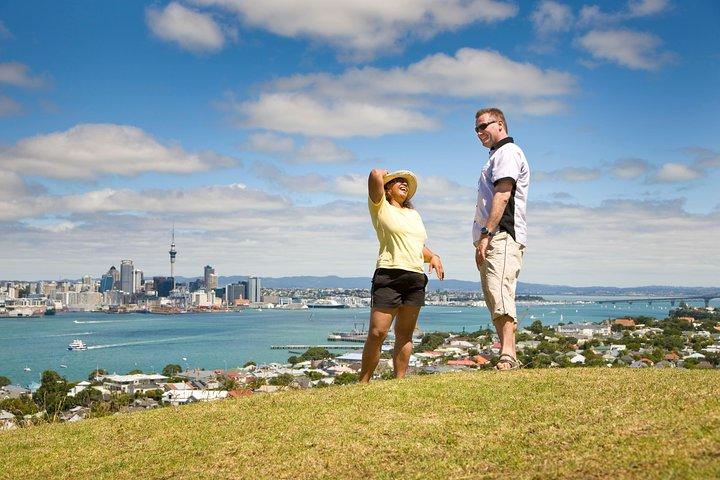 Excursion privée d'une demi-journée à Auckland