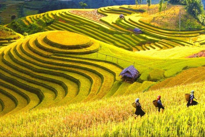Explore Hanoi Halong Sapa 5 days package