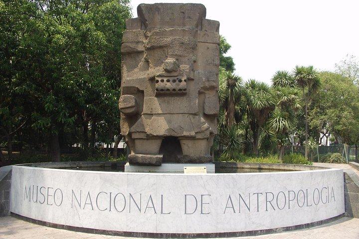 人類学博物館とメキシコシティ半日ツアー