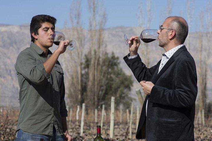 Route des vins du Sud