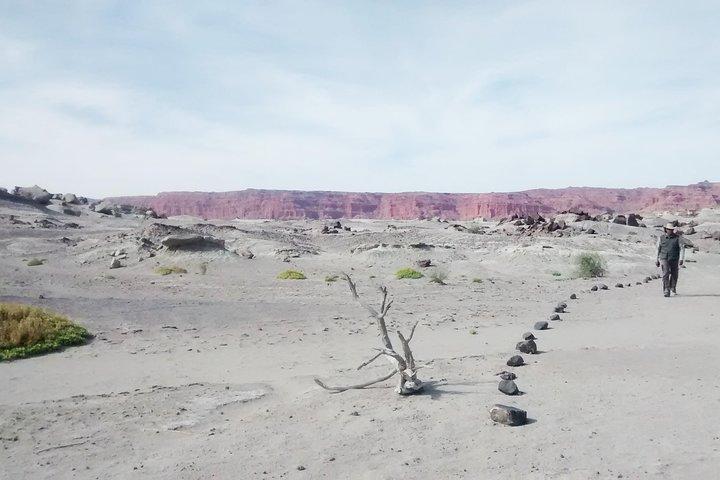 Ischigualasto nationalpark - Moon Valley